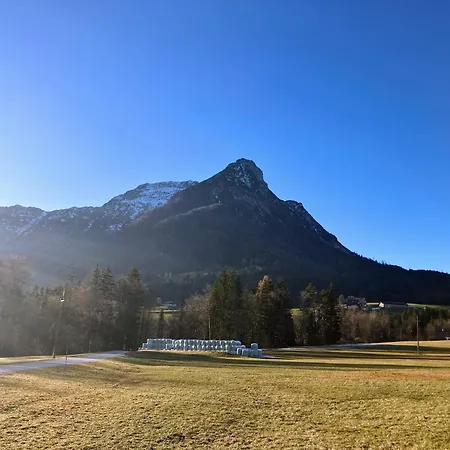 Apartment Dachstein Stueberl *
